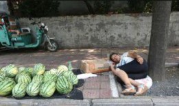 手扶瓜要怎样吃