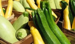 棱瓜哪里吃的多,探寻我国各地美食中的“绿色宝藏”