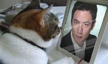 pdd吃瓜真假,真相还是炒作？揭秘网络热议背后的真相