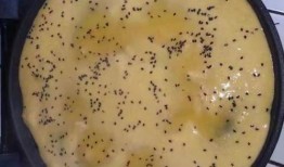 吃瓜酵母菌,揭秘其神奇生长与发酵奥秘