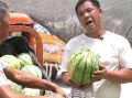 热搜吃瓜视频西昌,揭秘吃瓜视频背后的真相与幕后故事