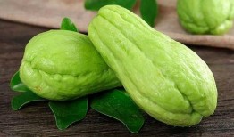 肥仔伟吃瓜,揭秘娱乐圈那些不为人知的幕后故事