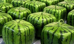 当前吃瓜热点,揭秘娱乐圈最新热点事件背后的真相