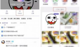 吃瓜网站程女士,吃瓜网站背后的故事与真相