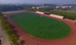 武邑中学吃瓜,吃瓜背后的校园生活