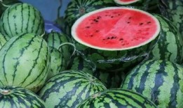 吃瓜读音,探寻“吃瓜群众”的趣味生活