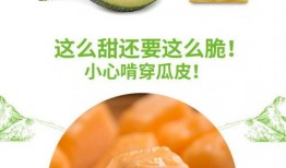 圣哥吃蜜瓜,一场味蕾的奇幻之旅