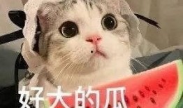 吃瓜被骗是鬼片嘛,揭秘“吃瓜被骗”背后的惊悚真相