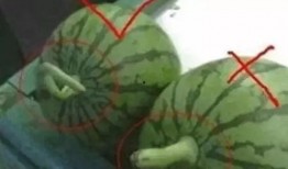 吃瓜一班,揭秘校园里的欢乐与成长