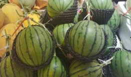 肥仔伟吃瓜,揭秘娱乐圈那些不为人知的幕后故事