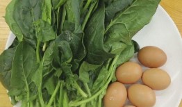 老人吃叶酸对瓜,瓜类食材营养升级