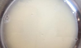 吃瓜酵母菌,揭秘其神奇生长与发酵奥秘