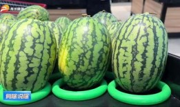 青州周末吃瓜,瓜果飘香，品味民俗风情