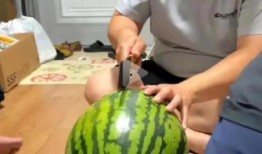 吃瓜的直播间,揭秘吃瓜群众的直播间魅力