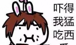 全神贯注吃瓜,尽享瓜界盛宴