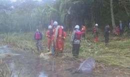 旬阳吃瓜事件始末视频,一场网络热议背后的真相揭秘