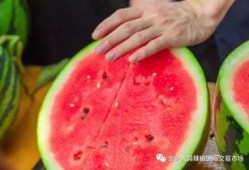 常州大学吃瓜,揭秘校园热点事件背后的故事