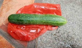 瓜是怎样吃的,探索各式瓜类美食的享用之道