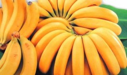 久操香蕉吃瓜视频,揭秘网络短视频的趣味与争议