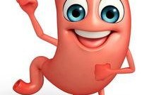 吃瓜反酸呕吐,揭秘夏季饮食健康陷阱