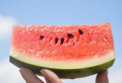 rise吃瓜,揭秘娱乐圈背后的那些事儿