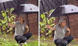 北美吃瓜不打伞视频,无伞吃瓜，夏日风情别样浓