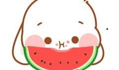 萌兔吃瓜头像,趣味横生的日常瞬间